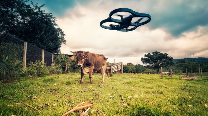 Copertina – Cow Vs Drone