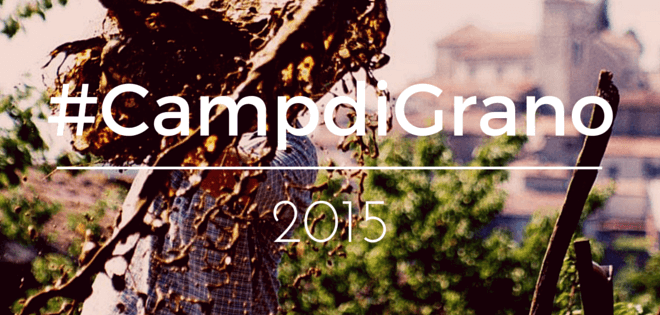 #Campdigrano2015